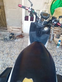 سكنس جبلي • رمبه