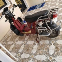 جبلي • ٢٠٢٣ • قشر نظيف