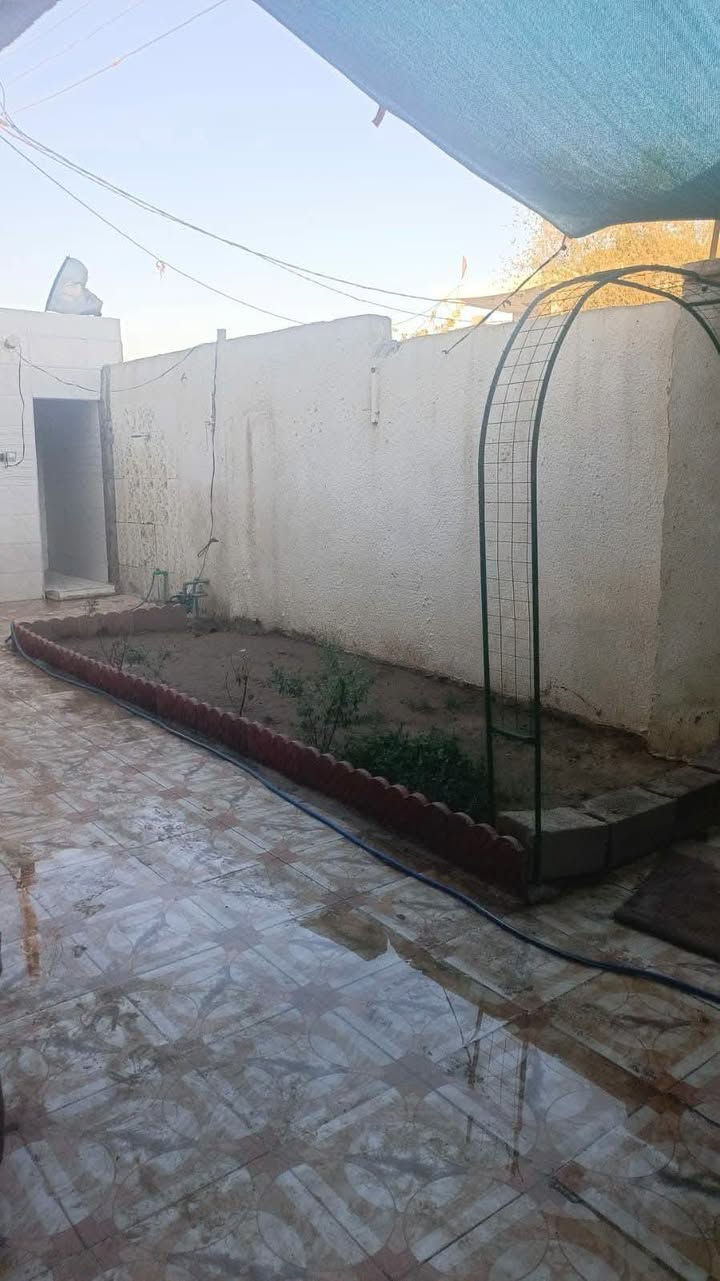 الكوت :
بيت مساحته 300م في حي الحكيم نزلة خليفه قرب مدرسة السجده طابق واحد متكون غرفتين وهول واستقبال ومطبخ وصحيات داخليه وخارجيه وحديقه وترك والطابق الثاني غرف وبيتونه كبيره والسطح شتايكر بناء نص طابوق ونص بلوك والسقف صب عرض الشارع 10م خدمات متوفره ماء وكهرباء ومجاري قريب ونت ضوئي زراعي سند 25 مشمول بالتطويب بقية التفاصيل  السعر 65 مليون وبيه مجال . وايضا مراوس أبيت 150م في حي الحكيم او الخضراء مع الفرق اذا احد يحب يراوس .

نص مكتوب في الصور:
- CAMON 20 Pro • 24mm f/1.7 1/50s ISO999