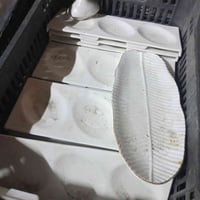 مواعين مقبلات • كمية قليلة • بغداد