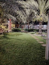منطقة ركية • ٣ دوانم • طابو صرف