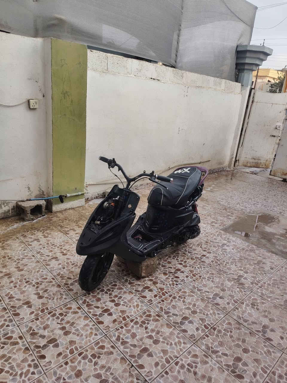 ماكس • بوشة ٤٩ • بلاديه