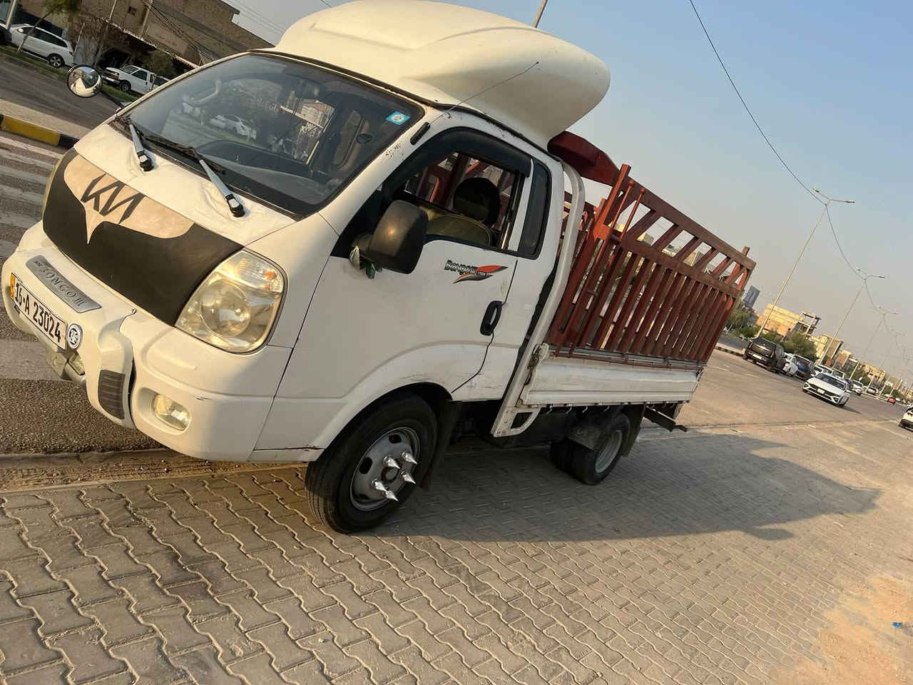 فحل حمل • ٢٠١١ • مكفولة