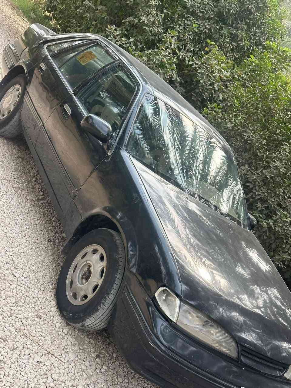 برنس • للبيع