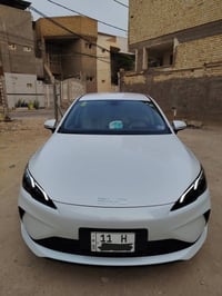 بي واي دي سيل • ٢٠٢٥ • رقم بغداد