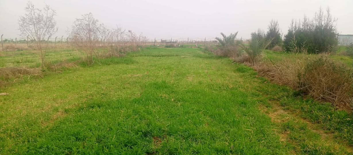 دونم للبيع قريب ؏ حولي مقابيل الخاجيه متوفر بي مي وكهرباءطابو سند 25 حق التصرف للستفسار اتصل ***********
