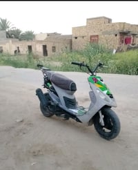 للبيع • كربلاء • طوريج رجيبه