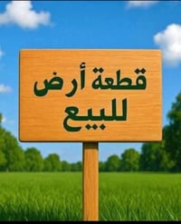 اركية وفاضل • ١٠٠م • شارع ١٥