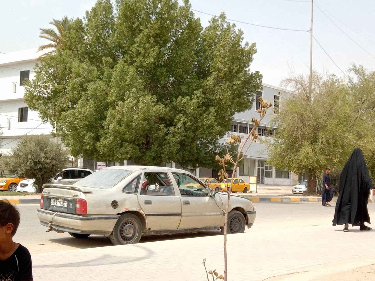 اوبل فكتره للبيع رقم بغداد سعر 16 بيه مجال مكانها الديوانيه حمزه الشرقي ***********

