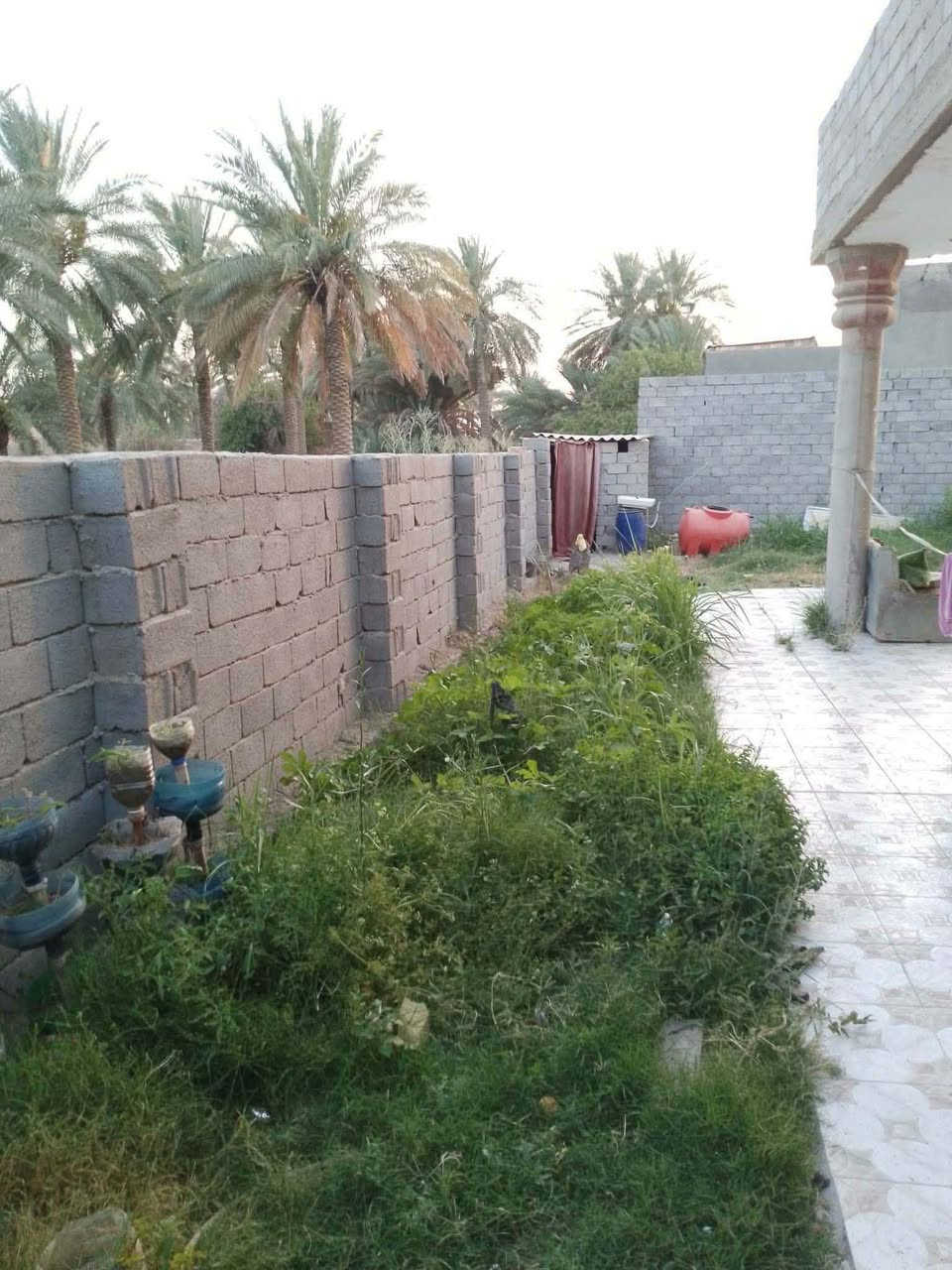 سلام عليكم بيت البيع
البيت زراعي 
المساحه 600 البناء 230 درجه اولى
 البناءالسقوف صب كونكريت درجه اولى الشغل
الموقع محاويل حي ابوسديره 
مكلف بيه 
سعر ٧٠وبيه مجال 
***********
