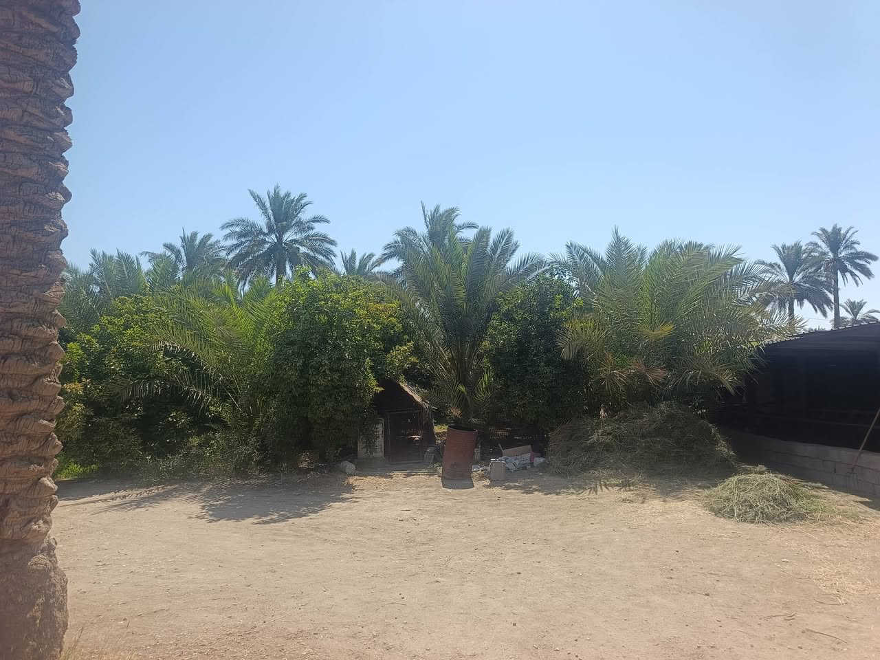 أرض زراعية ٥دونم  طابو زراعي معه دار سكني ٤٠٠ واجه شارع ٢٢ متر شارع العام حله بغداد معه بستان نخيل وحمضيات كهرباء وماء وماء للسقي للاستفسار بابل محاويل شارع حله بغداد مقابل محطه وقود التفاحه ***********/
***********
