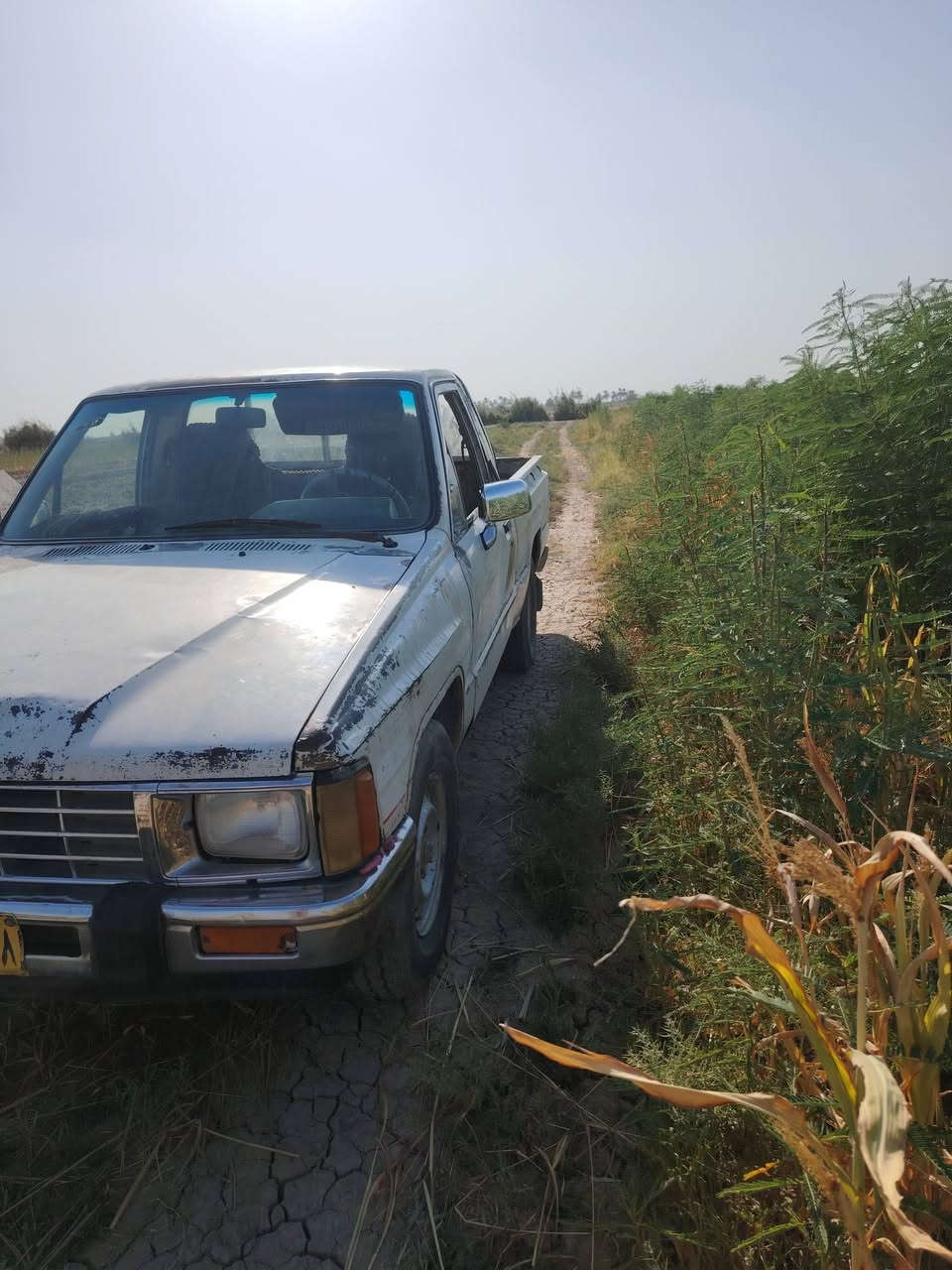 سلام عليكم من رخصت مدير الكروب للبيع بيكم تيوتا موديل 87 رقم بقداد تحويل محرك جديد تايرات نص عمر صدر كير مكفولات مكان واسط صويره ستفسار ***********
