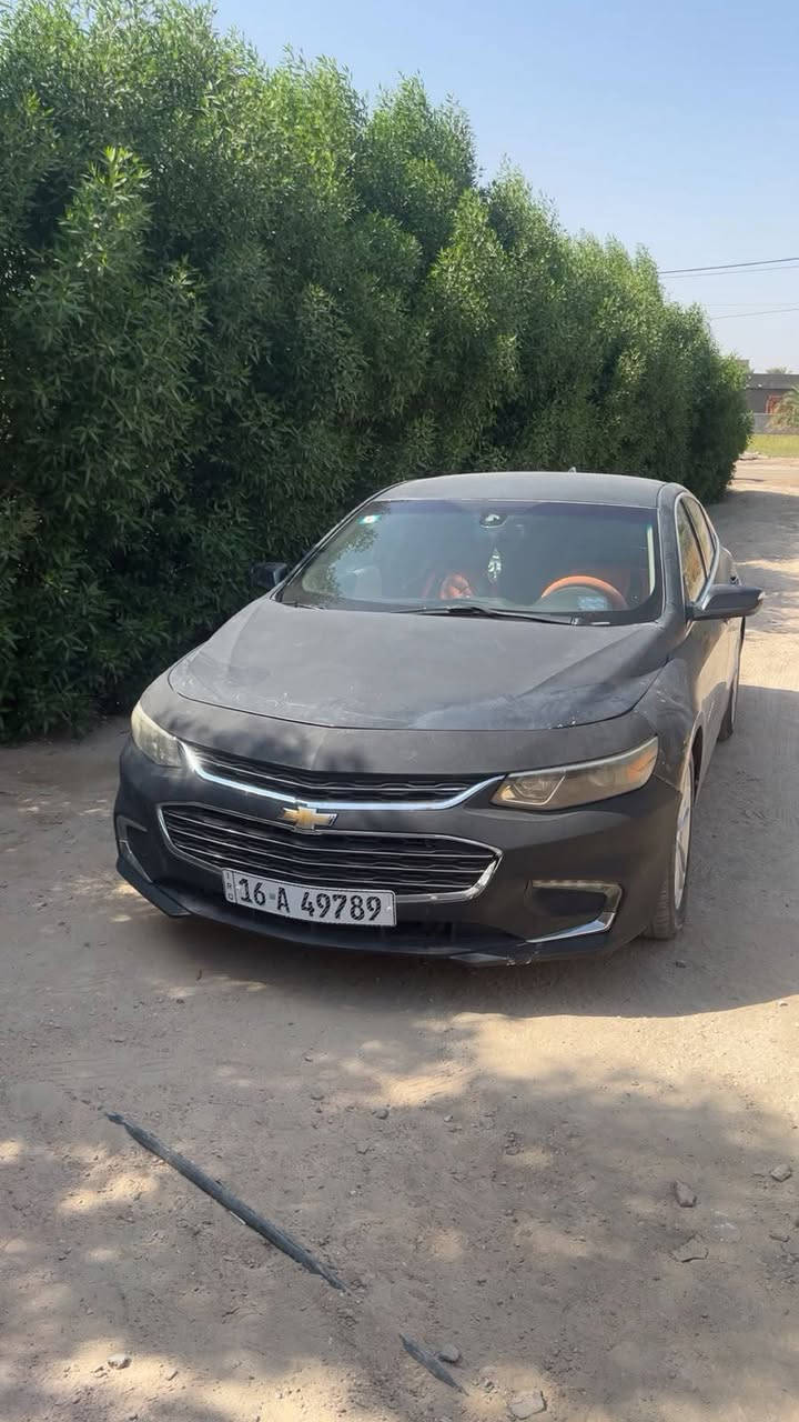 ماليبو • ٢٠١٧ • مكفولة