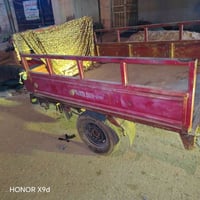 ستوته • كلك كلك • ركبة فيها فطر