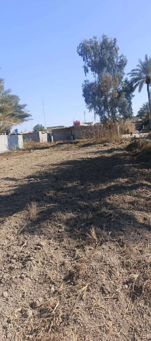 السلام عليكم ارض زراعيه دونم ونص مع ثلاث بيوت بناء سقف سندويش في كربلاء طويريج نزله العيوج تبعد عن شارع لعام ١٠متر  لخدمات متوفره ماه سقي وماه اساله كهرباء ومولد ذهبي للاستفسار اكثر ‏‪***********‬‏
