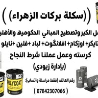 سكلة بركات الزهراء • تصطيح مباني • مباني حكومية