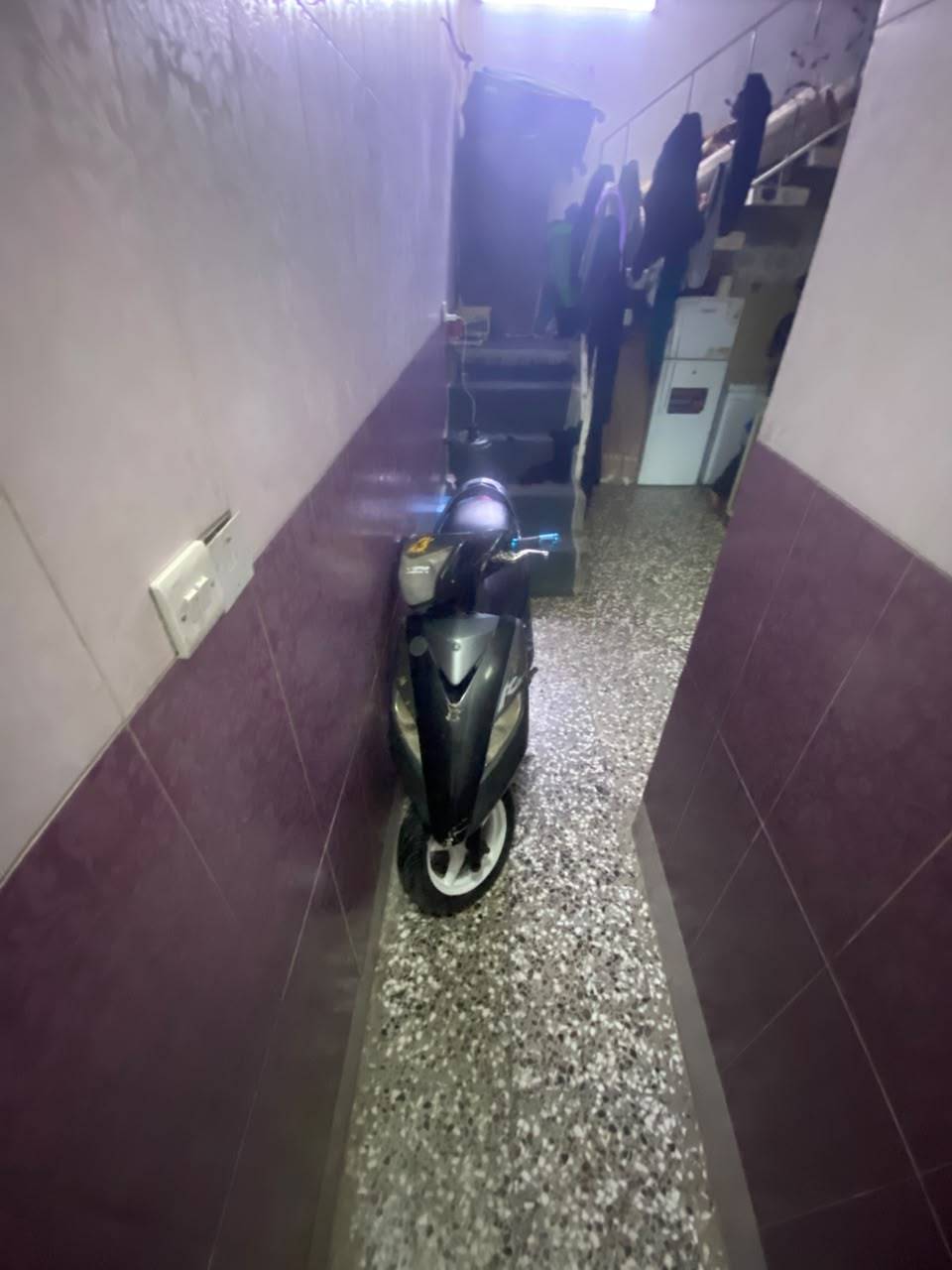 ثعلب • بوشة ٥٨ • نضيفة