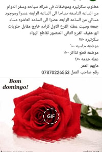 سكرتيره وموظفات • شركة سياحة وسفر • كرادة خارج