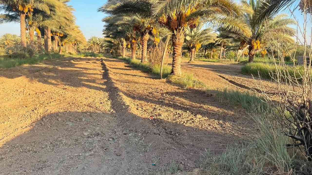 البيع نص دونم طابو سند 25 واجهه 20متر في كربلاء منطقة الزبيلية شارع ام البنين /*********** /***********
