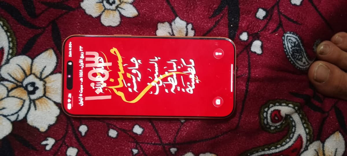 سلام عليكم ايفون ١٧ برو ماكس ذاكره ٥٢١
عنواني بصره الجنينه شوي بي زلوغ
بطاريته ٩٢
***********
