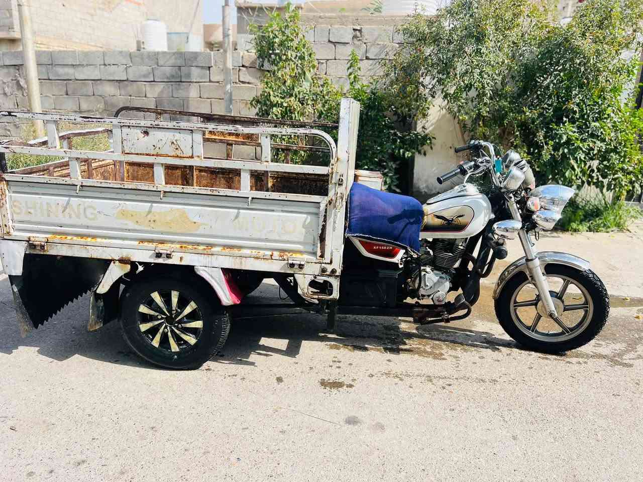 ستوته • ٢٠١٨ • اوراق كامله
