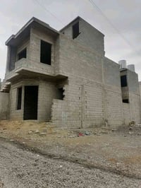 القوسيات • ١٠٠م • سند ٢٥