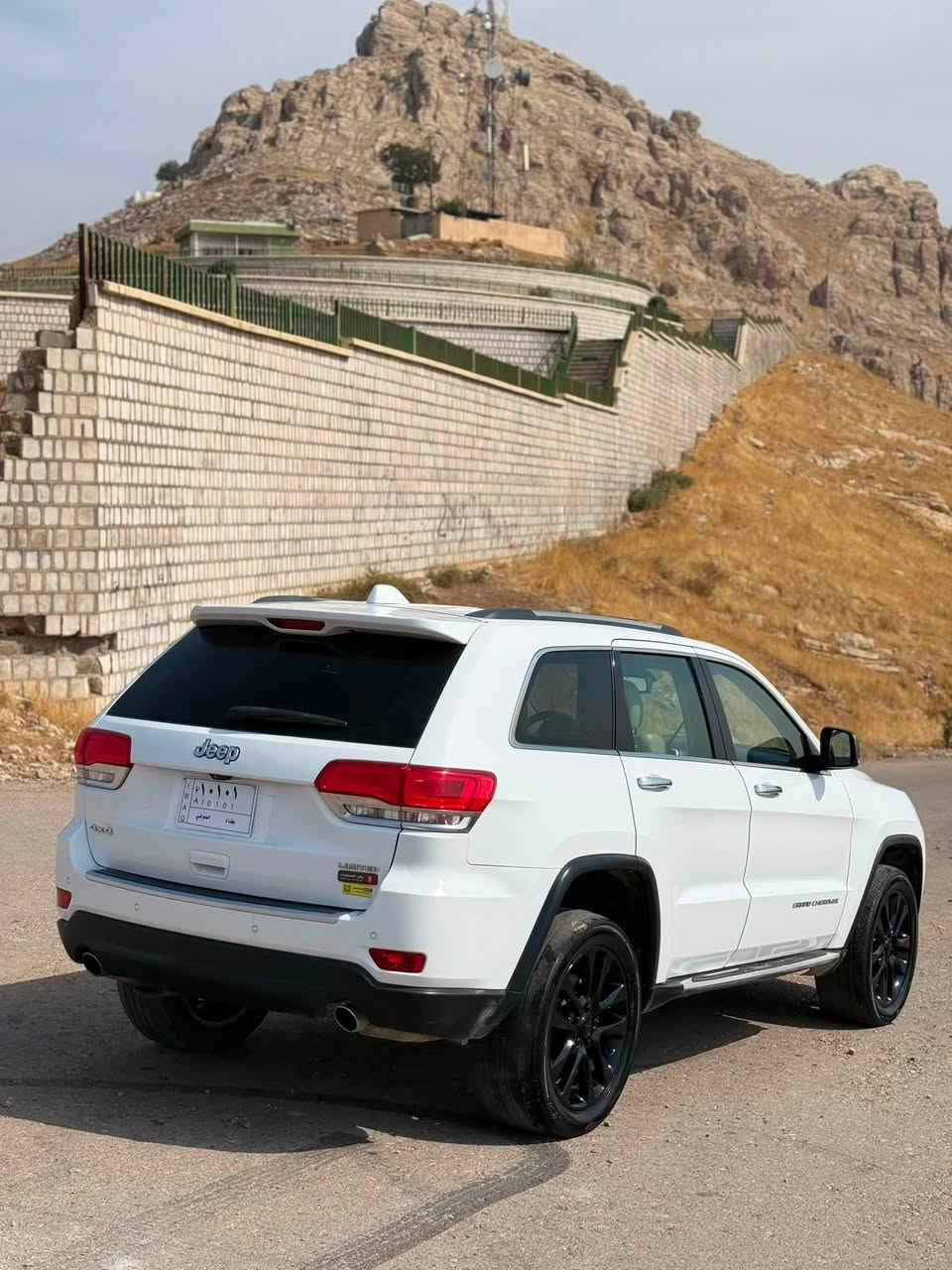 لاریدو • ٢٠١٥ • باسم المالك