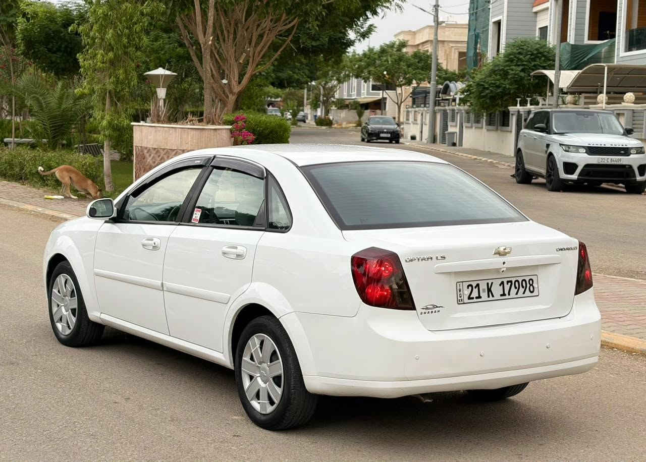 اوبترا • ٢٠١٣ • بدون صبغ