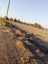 أبو غريب السميلات • ٢ دونم • طابو زراعي سند ٢٥