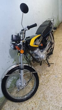 سكنر • جديد • ٢٠٢٦