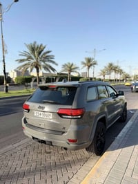 ٢٠١٩ • رقم بغداد • لون سمنتي
