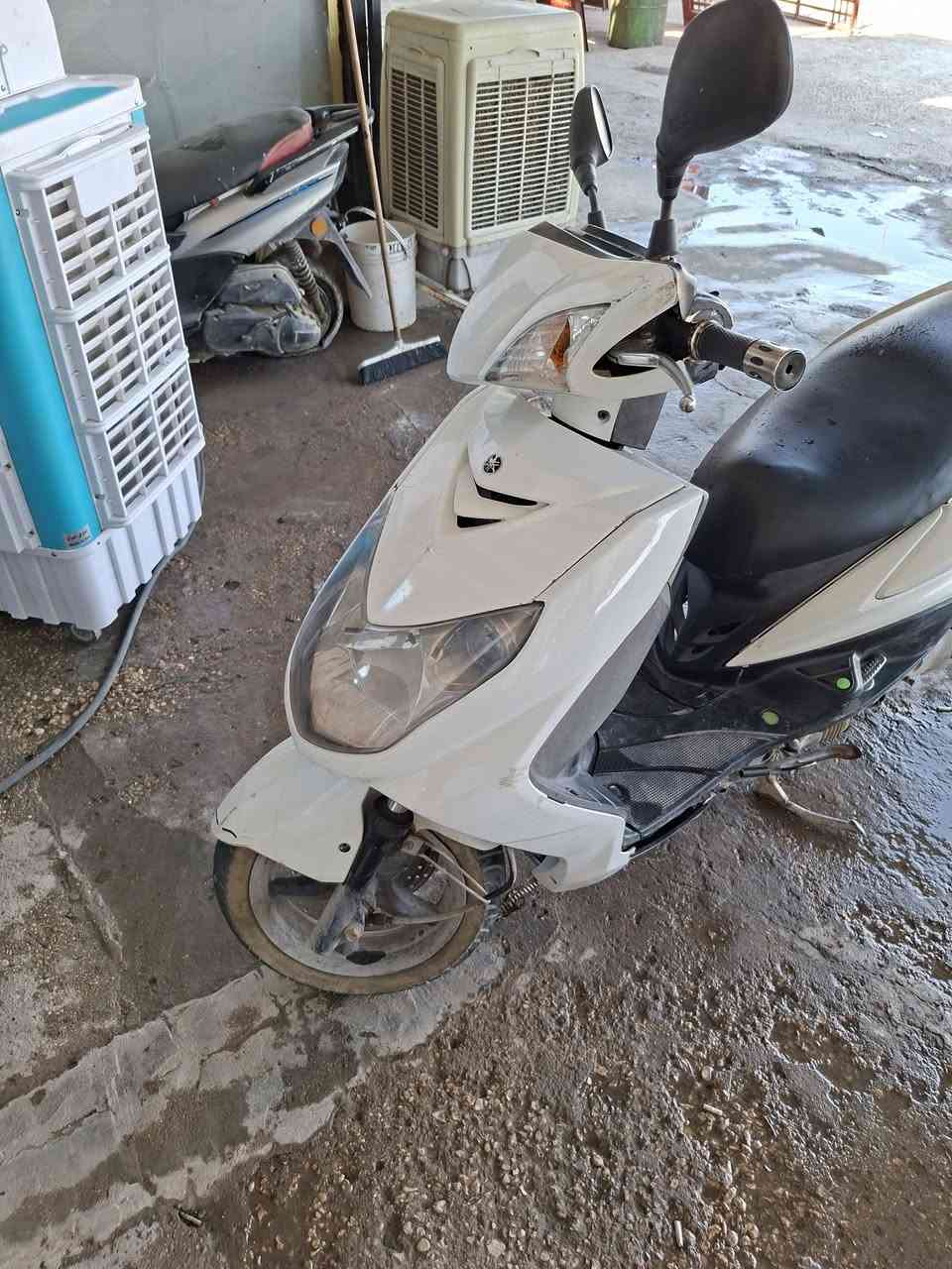 السلام عليكم
سكنز فحل ياباني نوزل قبق نفخ 
للبيع سعرها ٦٥٠ وبيها مجال حك الجية 
مكاني مفرك الفراشة 
***********
