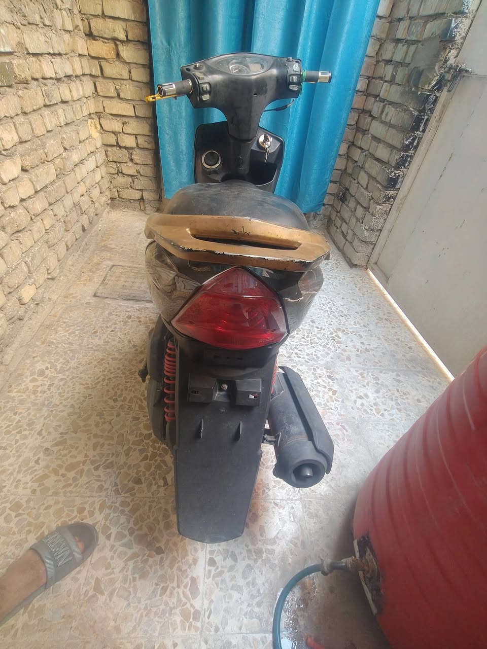 ماكس ثعلب • ١٤٠ • مرخصة