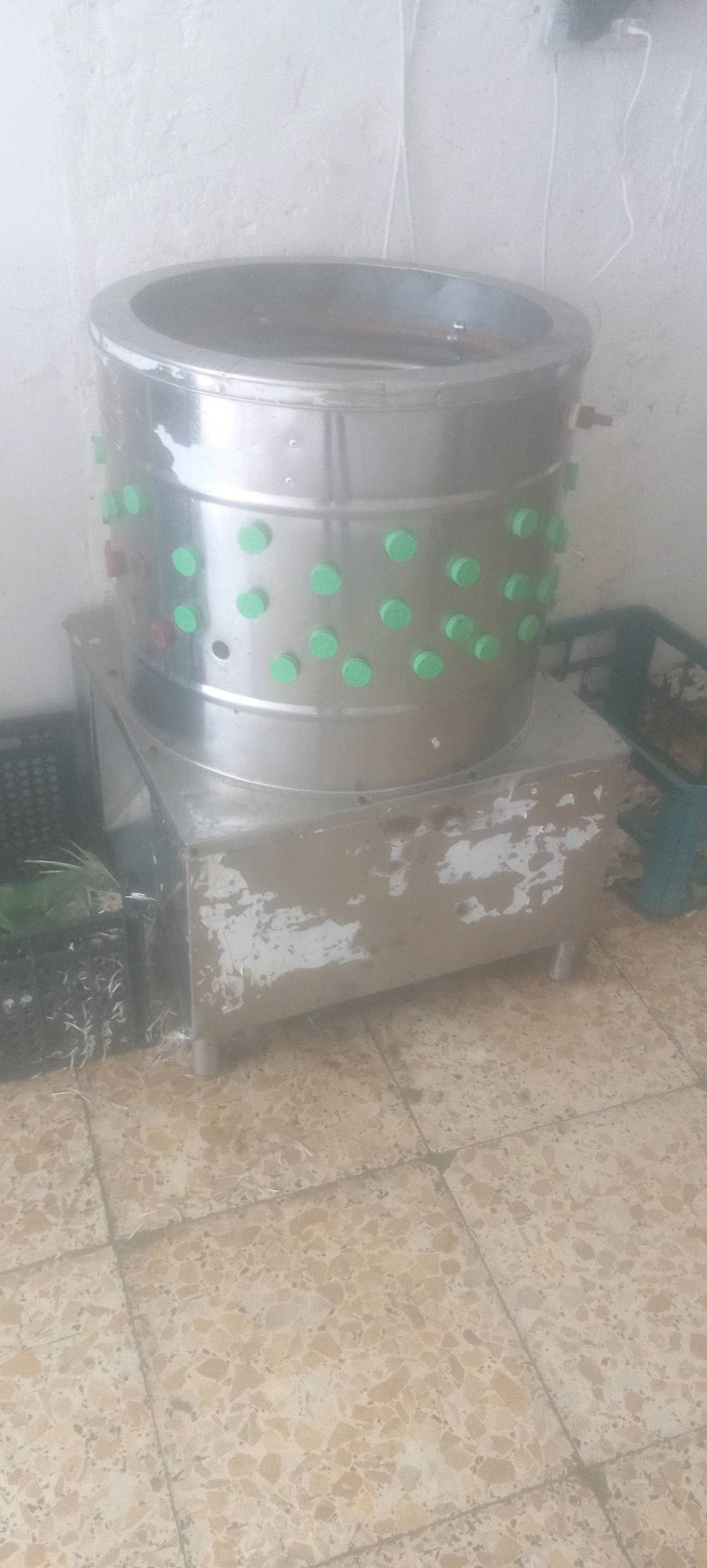 دجاج • نظيفه • بغداد المحموديه