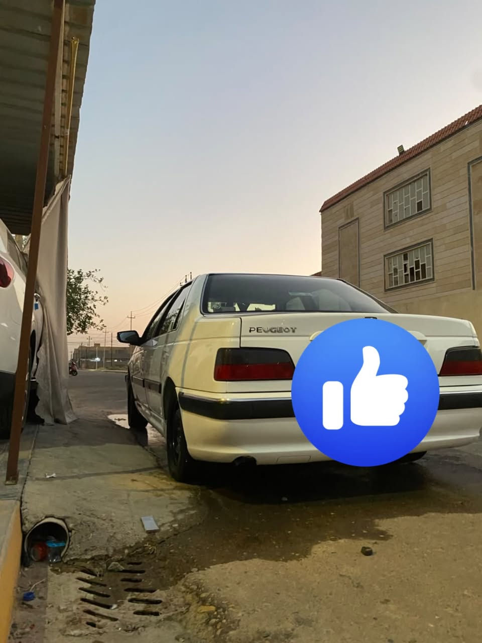 بارس • ٢٠٢٣ • كفالة عامة