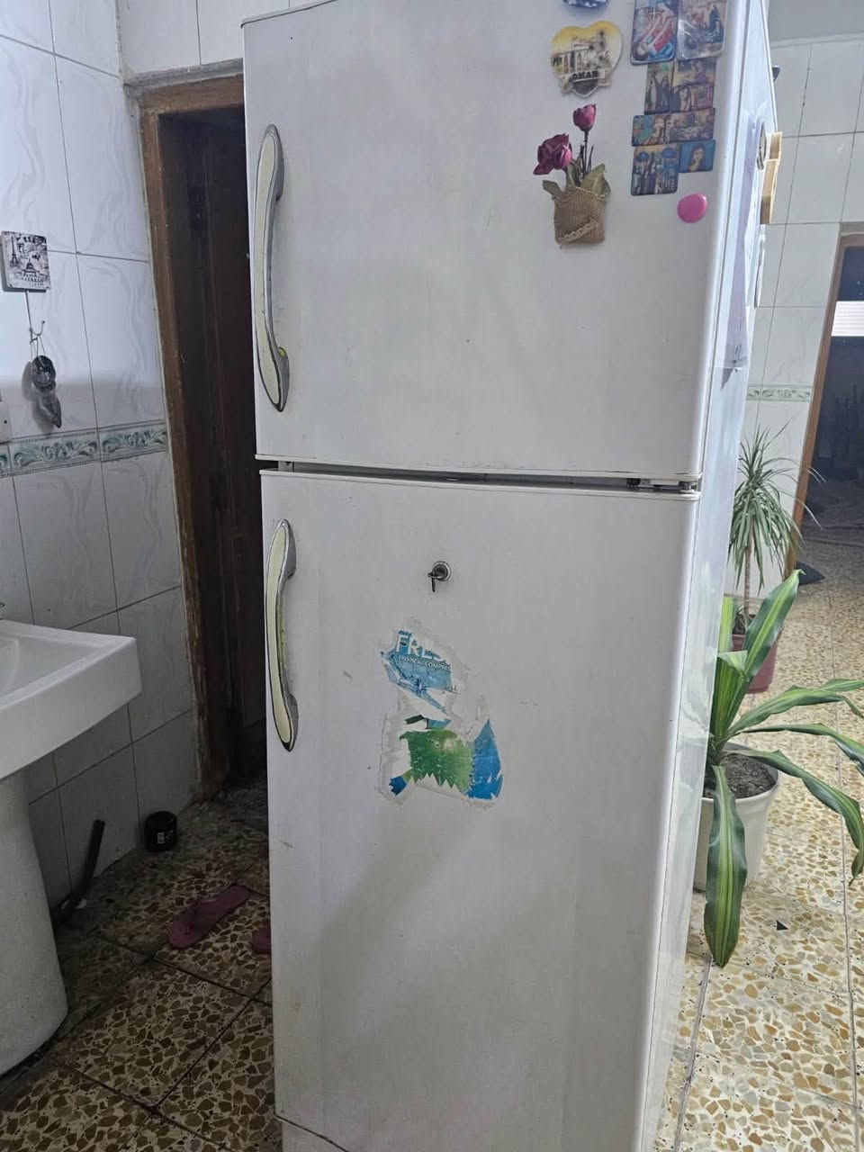 كنتور 175 بوفيه 80 كونتر 375 ثلاجه 200 سبلت طنين ميديا 350 ثلاجه صغيره 75 غساله دنكا 17 كيلو 200 غساله صحون 225 ثلاجه 10 قدم 125 طباخ 100 مجمده 150 غرفه 275 ميز طعام 6 كراسي 150 الاسعار وي توصيل مكان بغداد *********** واتساب
