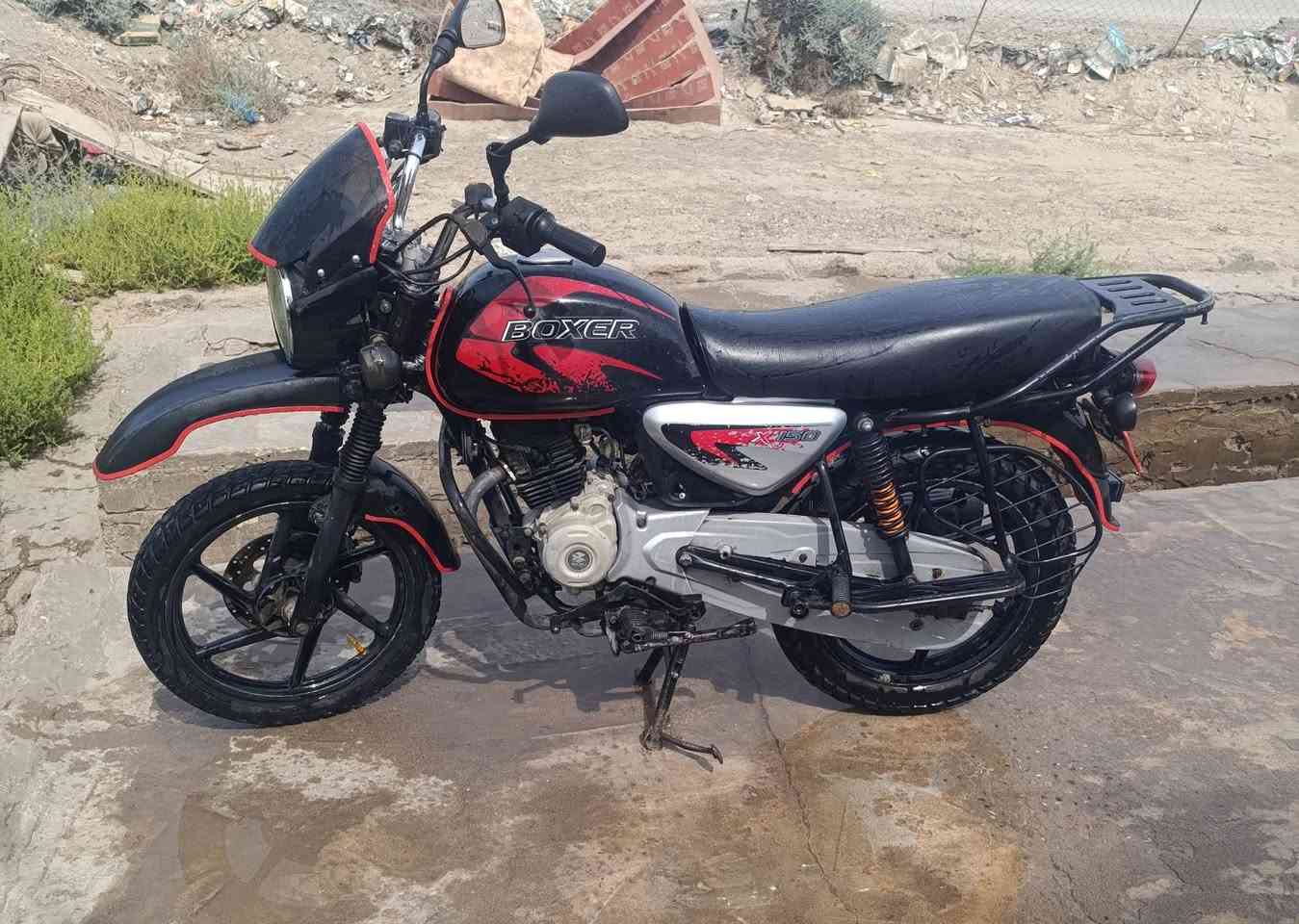 بوكسر • باجاج • ٢٠٢٢