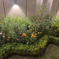 ديكورات حدائق منزلية وبأسعار مناسبة للكل للتواصل خاص او على الرقم  ‏‪0...