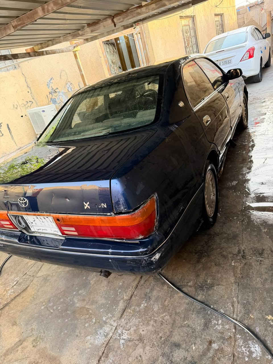 سياه نيلي • كفاله • بصره