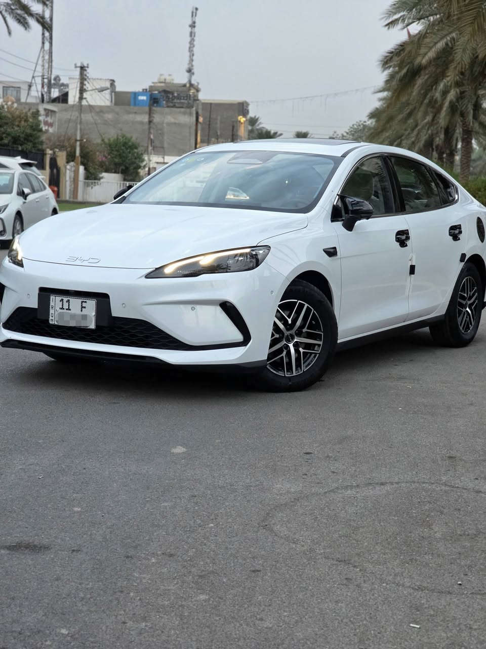 فلاكشب • ٢٠٢٥ • داخل ابيض جلد