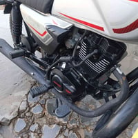 شاينك • ٢٠٢٦ • نضيفه