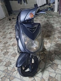 سكنس فحل • نوزل • الخالص