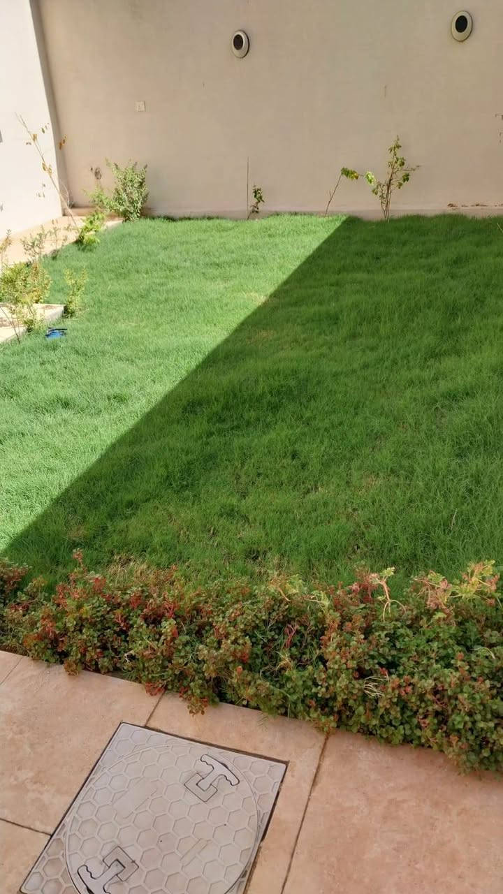 🌿 السلام عليكم ورحمة الله وبركاته 🌿

تم بعون الله توفير بكج متكامل للعناية بالحديقة والثيل والأشجار يحتوي على:

🔹 عناصر غذائية لتغذية النباتات وتقوية النمو
🔹 فسفور لدعم نمو الجذور وتحفيز نمو الأشجار والنباتات
🔹 مبيد فطري للمساعدة في مكافحة بعض الأمراض الفطرية
🔹 مبيد كيمياوي حسب الحاجة والمشكلة الموجودة

🌱 البكج يساعد على العناية بـ:
✅ الثيل واصفراره وضعف نموه
✅ الأشجار ونباتات الحديقة
✅ ضعف النمو وقلة الحيوية
✅ بعض المشاكل الفطرية
✅ تحسين المظهر العام للحديقة

📸 الصور توضح الفرق قبل وبعد الاستخدام:
في صورة قبل نلاحظ اصفرار وجفاف وضعف واضح بالثيل، بينما في صورة بعد نلاحظ تحسن اللون وزيادة الاخضرار والكثافة بشكل واضح.

💰 سعر البكج: 15,000 دينار فقط

🚚 التوصيل مجاني لجميع المحافظات العراقية 🇮🇶

🌳 بكج واحد للعناية بالثيل والأشجار ونباتات حديقتك.

📩 للطلب والاستفسار مراسلتنا على الخاص.
للستفسار
وتساب
***********
اتصال
***********
