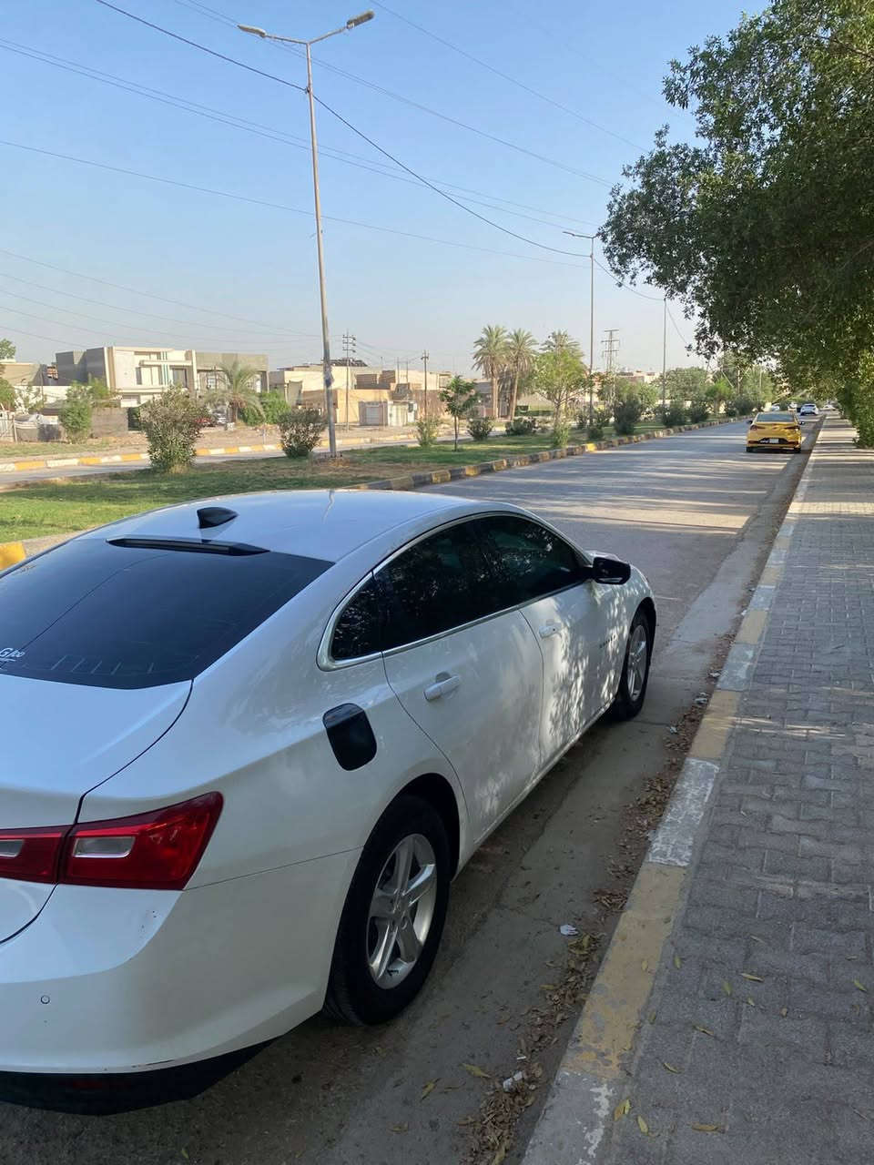 السلام عليكم ماليبو ٢٠٢٠ بقاله شهر وتنفك معوقين السياره بيها ٥ قطع صبغ سياره حلوه وجديده بيها تلحيضات بلحداديه السعر ٧٣ وبيه مجال بسيط مكاني بابل ***********
