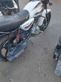 بوكسر مديل 22 لبيع مكان بغداد 07768482870