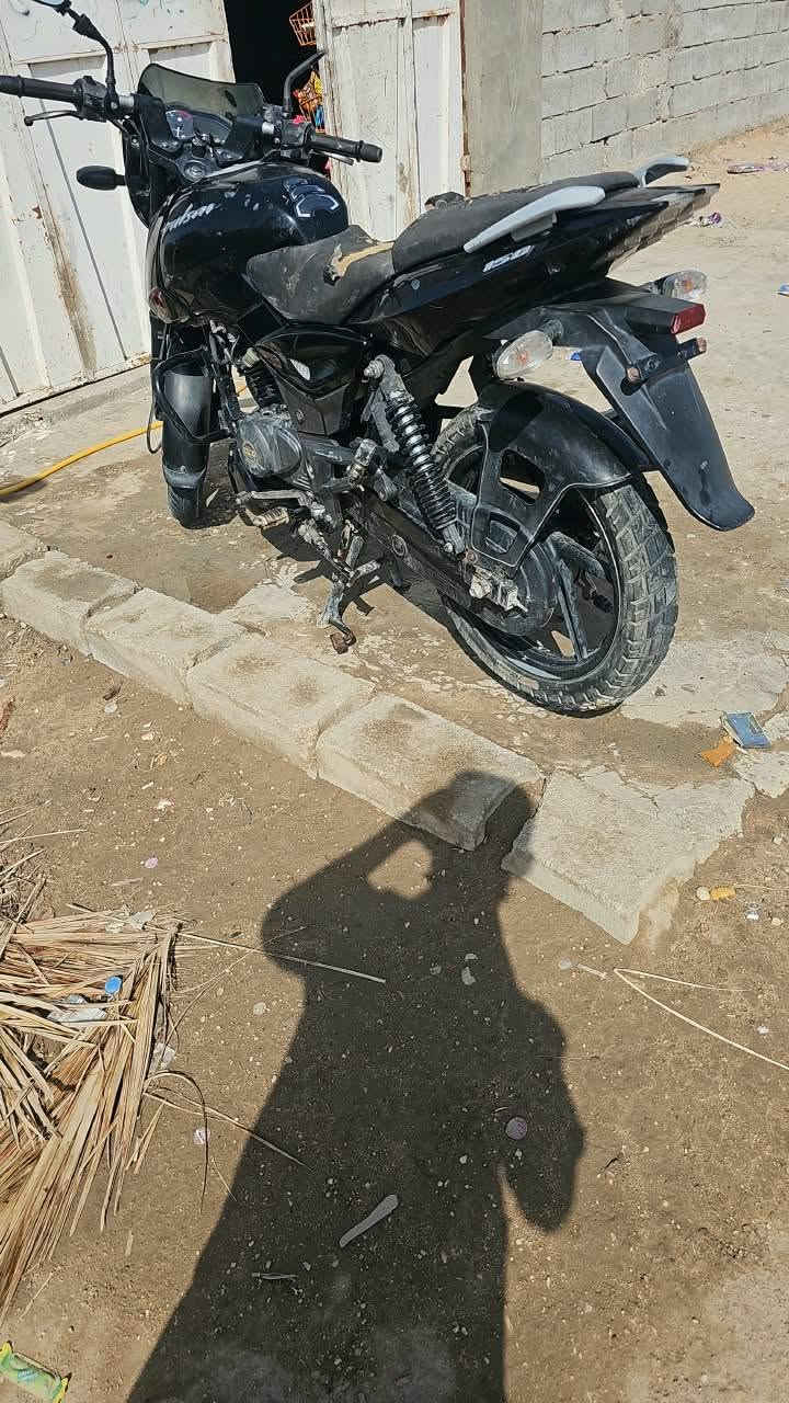 بولسر • هندي أصلي • ٢٠٢٠