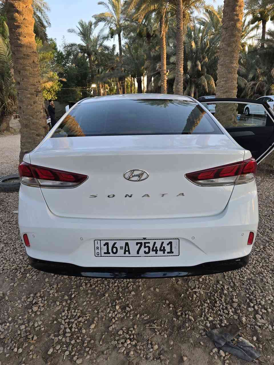 سوناتا غاز • ٢٠٢٢ • كفالة