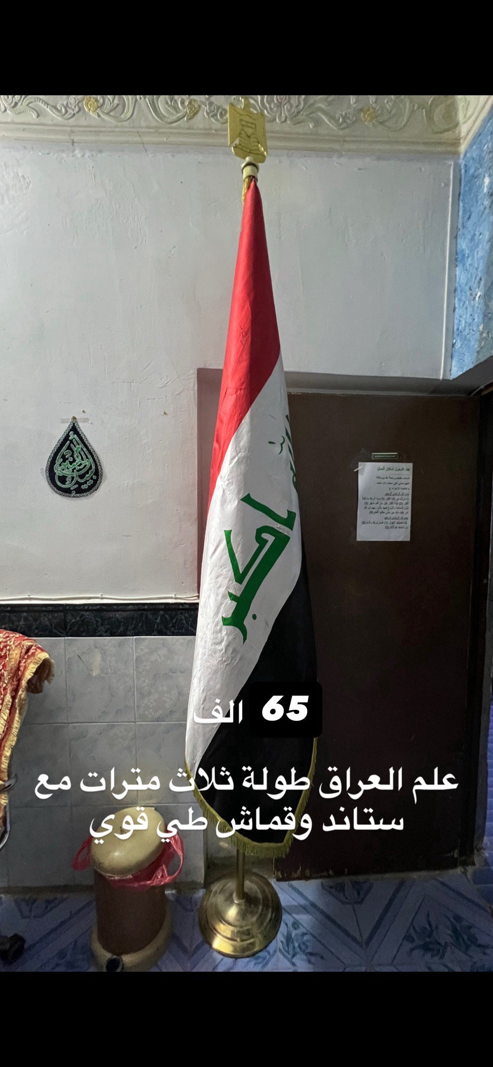 راسلني