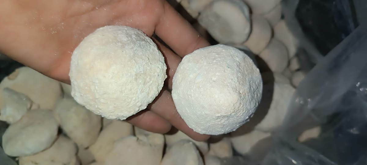 چثي غنم • دهن حر • القائم