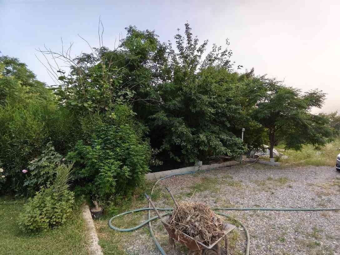 1 دۆنم
سیاجە
ئاوی سەربەخۆیی خۆی هەیە
کارەبای زۆر باش
داری گەورە و بەری ( پرتەقاڵ+قەیسی+هەنار+هەنجیر+هەنار+خورما+کنار)
تەنوری نان
تەنوری مەندی
خانووی 100 مەتری تێدایە
هەرێز 12 * 11
تاپۆی بەگزادە
بەشەرتی ئەوەی بەر لافاو و پرۆژە نەکەوێ

تۆزێ کەم مەعامەلەی تیایە
*********** كالار, السليمانية
